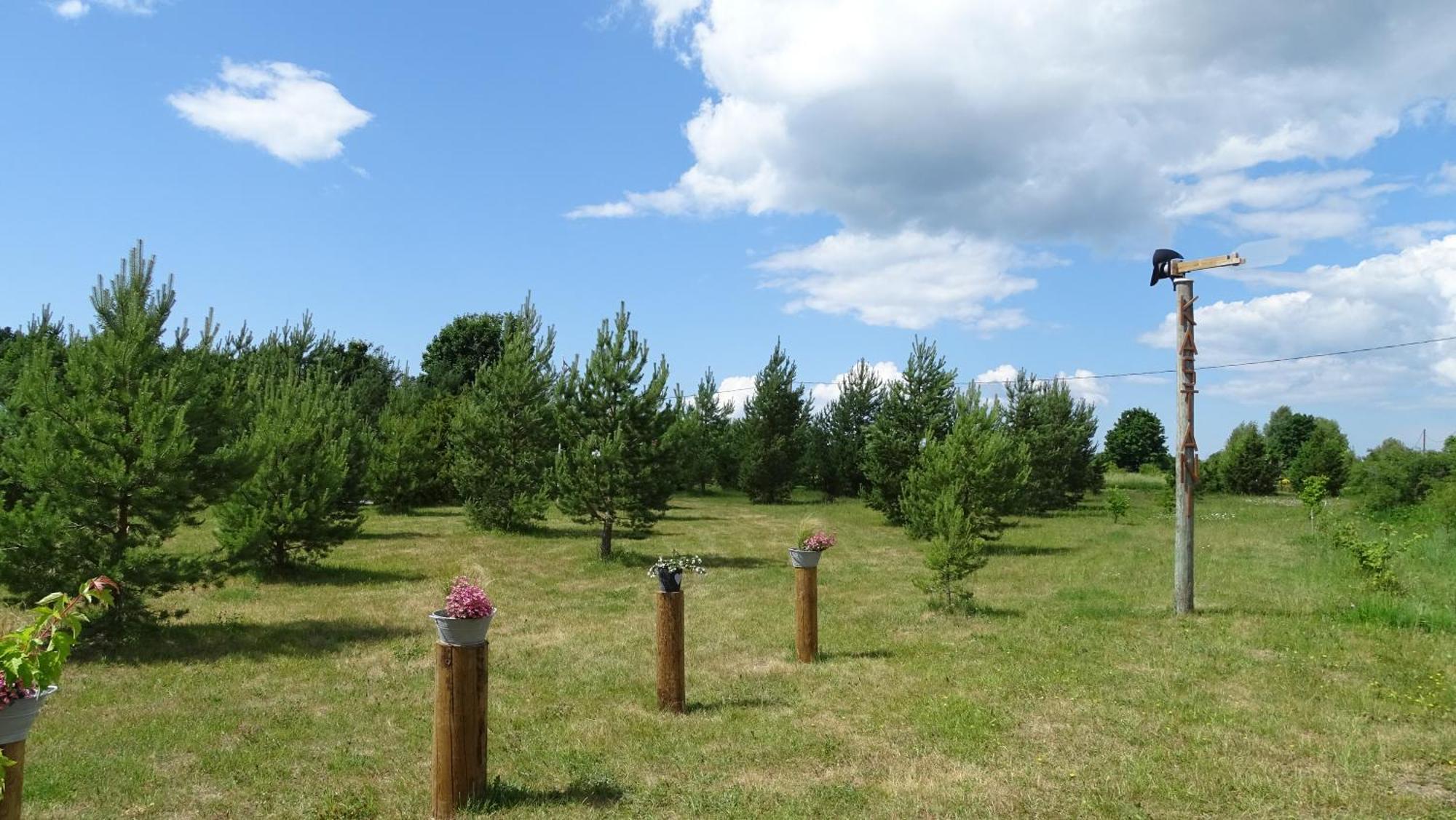 Kastani Camping Haapsalu Exteriér fotografie